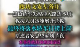 文安爆料视频最新消息,揭秘事件真相与进展